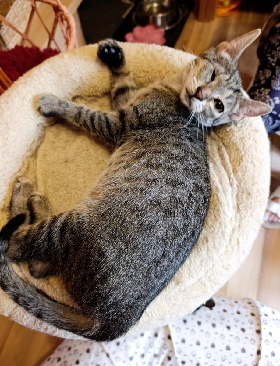 Mia