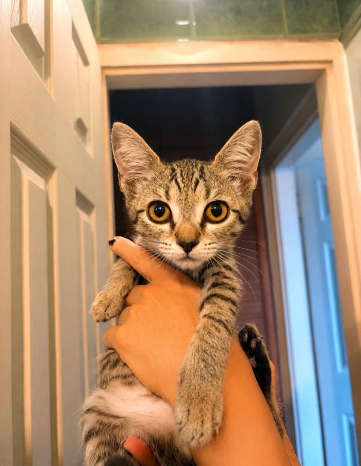 Lali